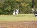 SAMEGolf2008 002