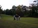 SAMEGolf2008 019